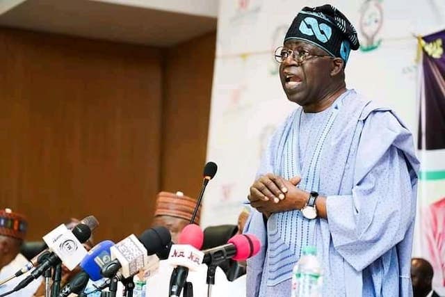 APC South Africa: Nigeria needs Bola Tinubu