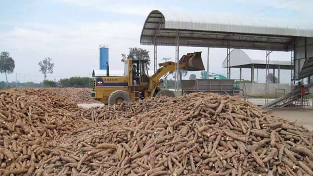 FILE PHOTO: A Cassava Factory
