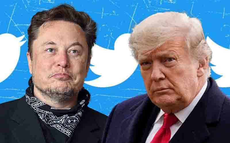 Elon Musk Clarifies Position On Donald Trump - P.M. News