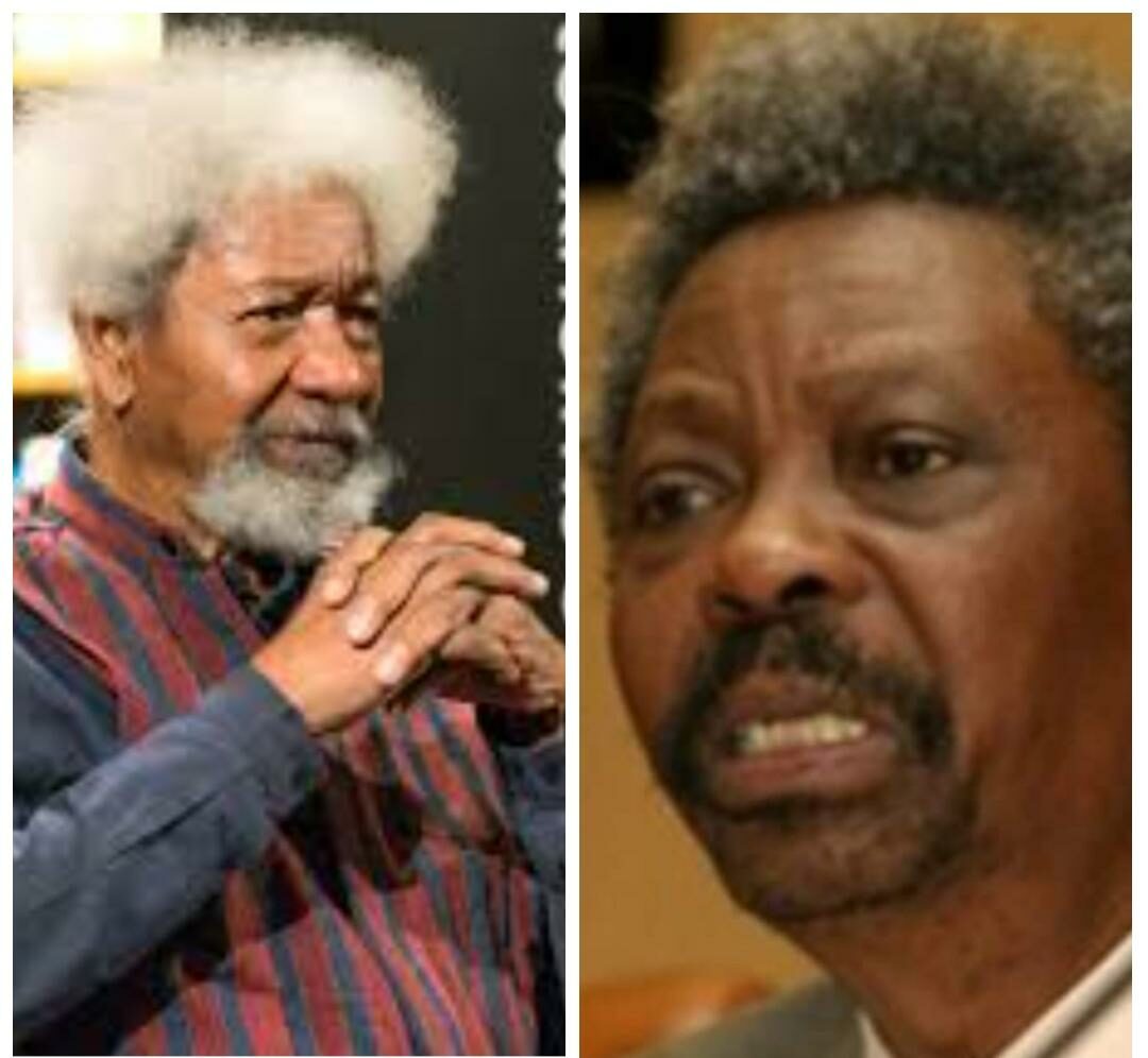 Professors Wole Soyinka, left, and his younger brother, Femi,