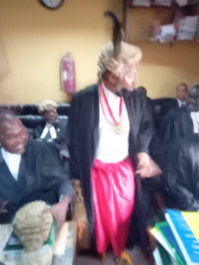 Activist lawyer Malcom Omirobo in Court in Lagos dressed in  combination of a legal practitioner and native doctor (olokun) attire  