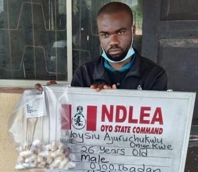 Aloysius Ajuruchukwu Onyekwe arrested in Ibadan