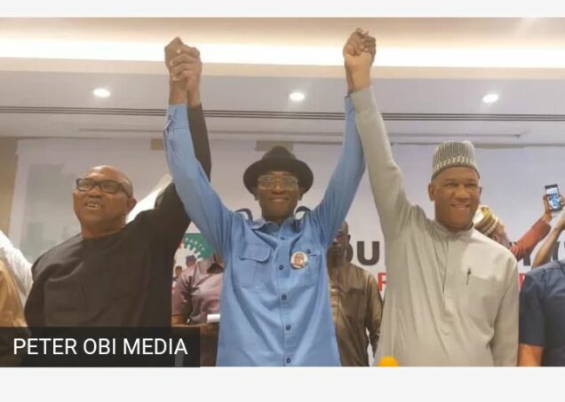 Peter Obi and Datti Baba-Ahmed unveiled