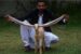 Simba the baby goat and its breeder in Karachi Pakistan