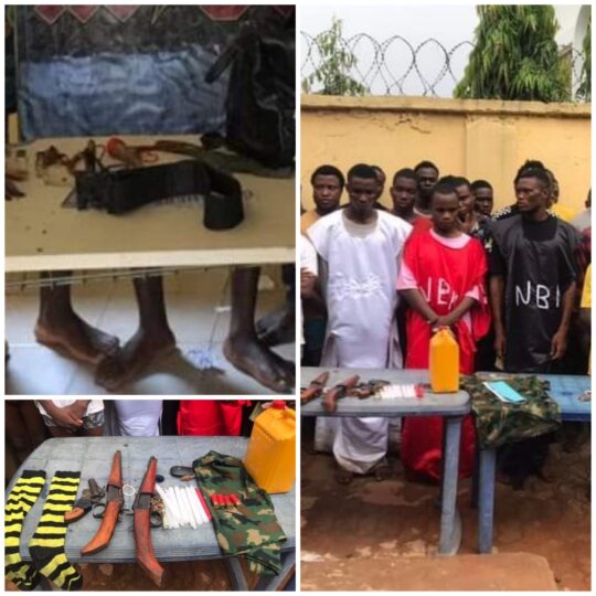 Members of Black Axe Confraternity arrested during their initiation at Zion Road, Ibusa community of Oshiomili LG of Delta state and the items recovered from them