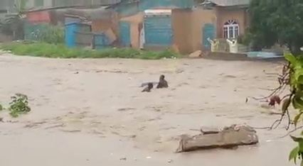 Flood sweeps Lexus Jeep, Toyota with 6 occupants; 2 still missing (video)