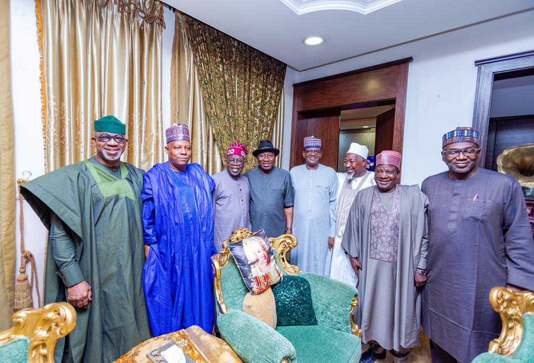 Abiodun, Shettima, Tinubu, Jonathan, Matawalle, Badaru, Lalong and Abdulrazaq in Abuja on Tuesday