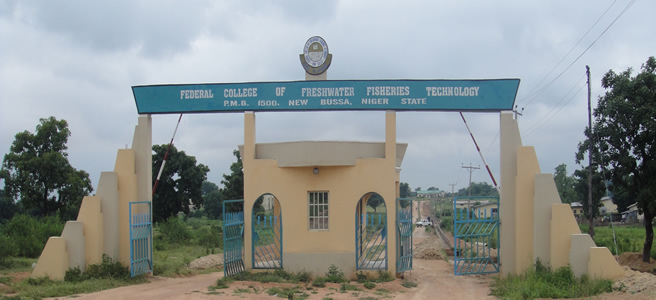 Federal College of Freshwater Fisheries Technology, New-Bussa (FCFFT)