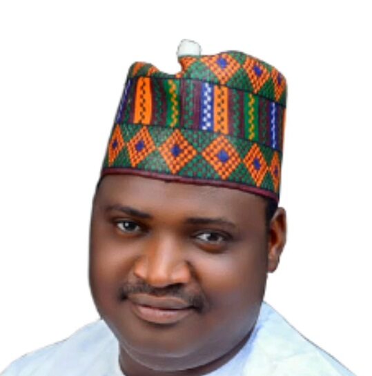 FCT Polls: AMAC chairman lauds process, calls for improved logistics