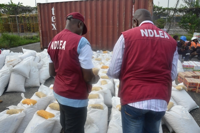 NDLEA seizes 456.8kg illicit drugs in Kogi