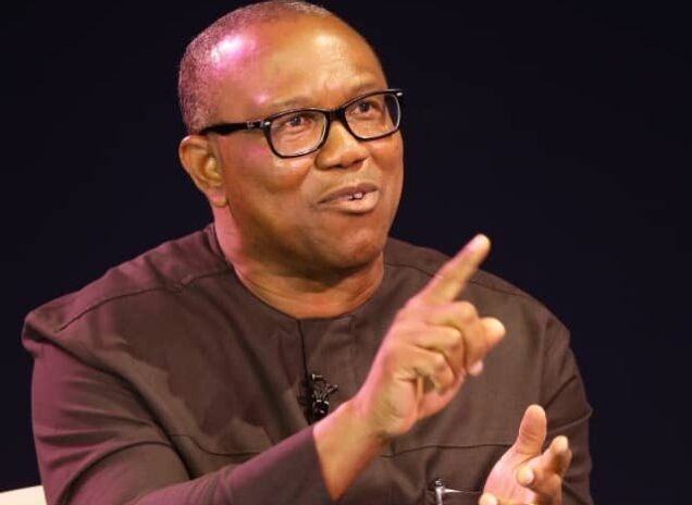 Labour Party, LP presidential candidate, Peter Obi