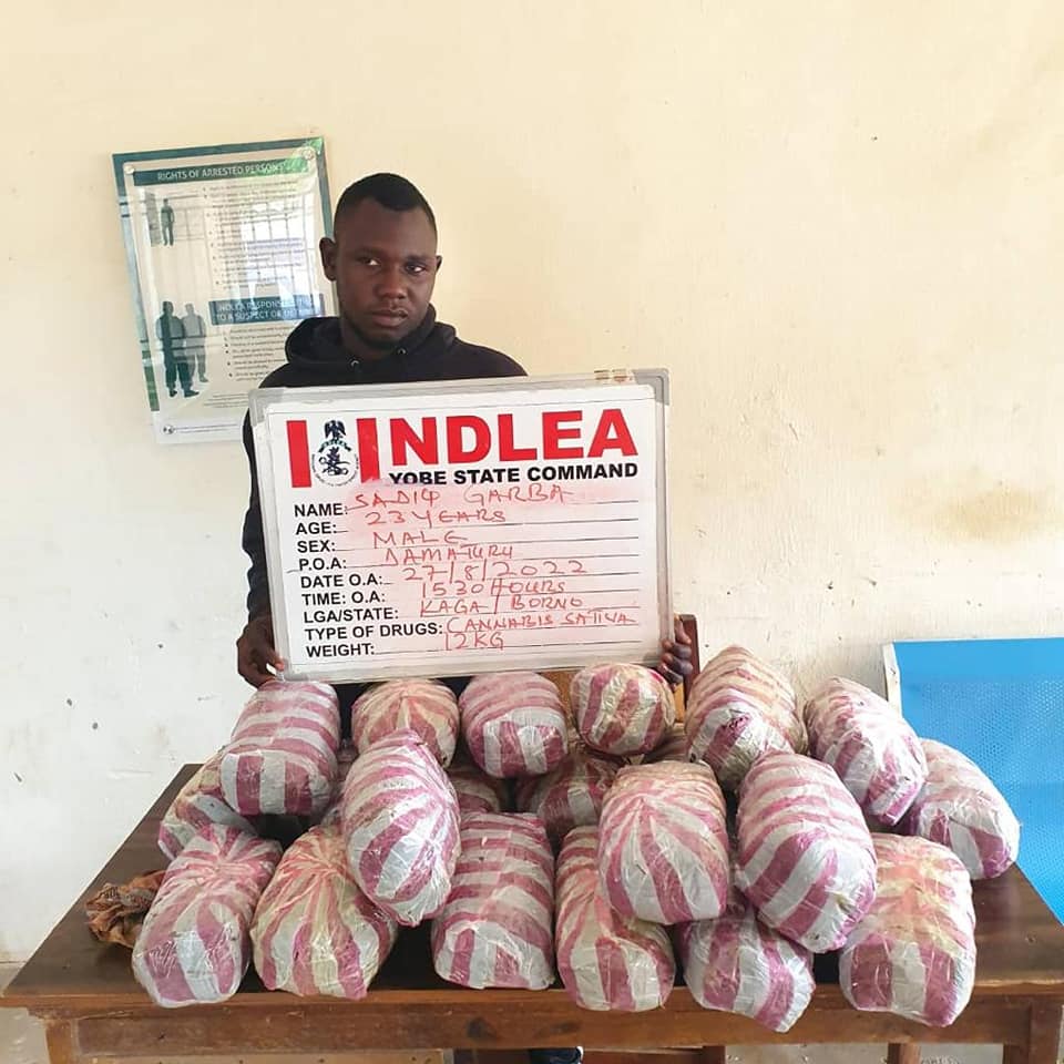 NDLEA uncovers drugs hidden in locust beans, arrests 8