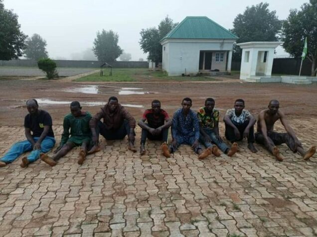 7 suspected  bandits arrested in  Mariri community of Lere LGA of Kaduna State: Hajiya Bilkisu was lynched for housing them