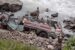 6 Indian security personnel die as bus falls into riverbed