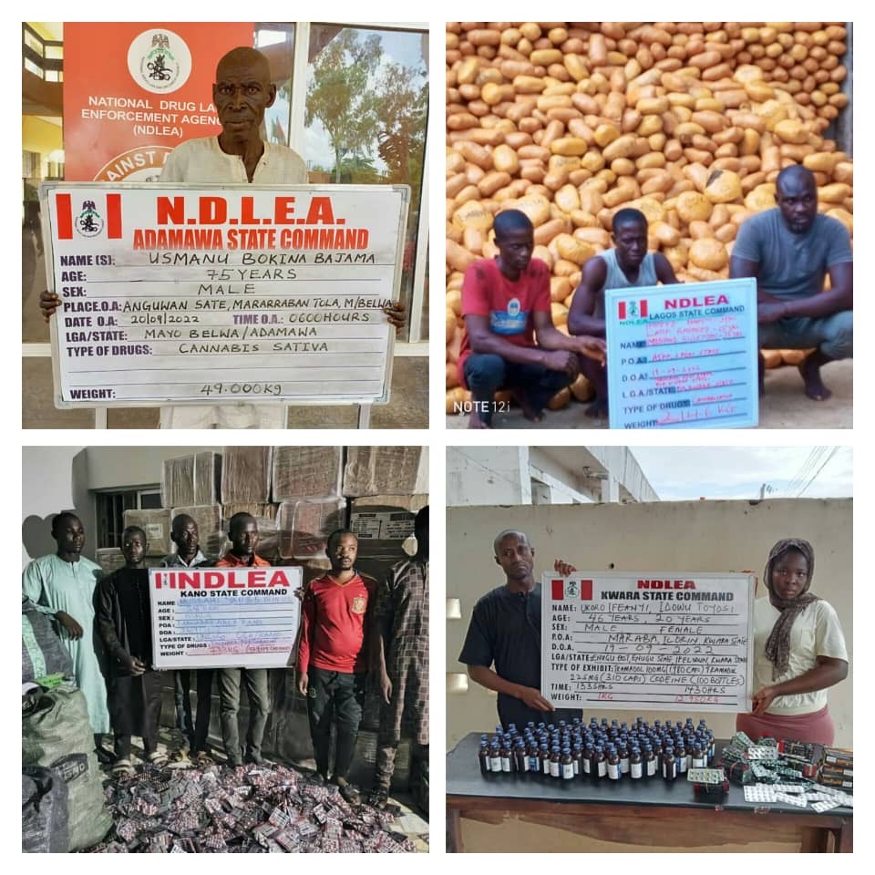 Drug dealers arrested by NDLEA