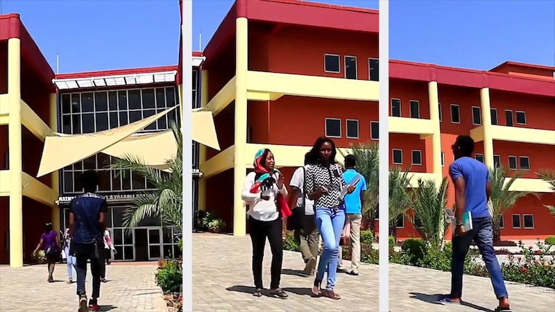 American University Yola