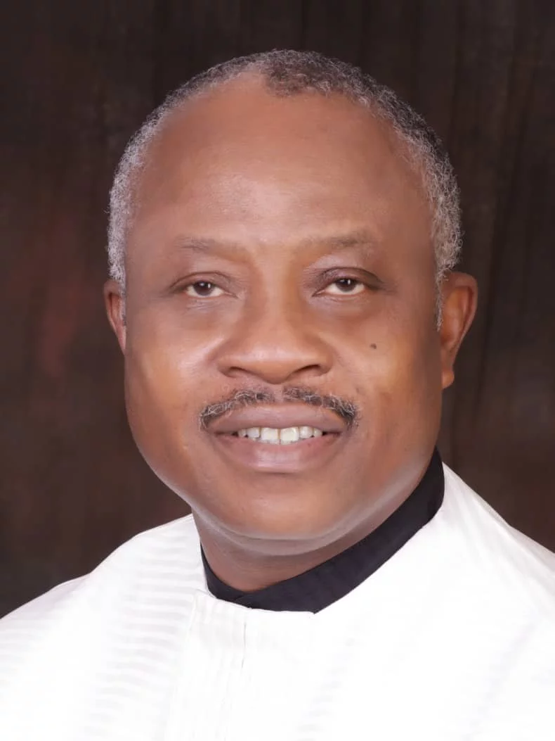 Chief Ikechi Emenike