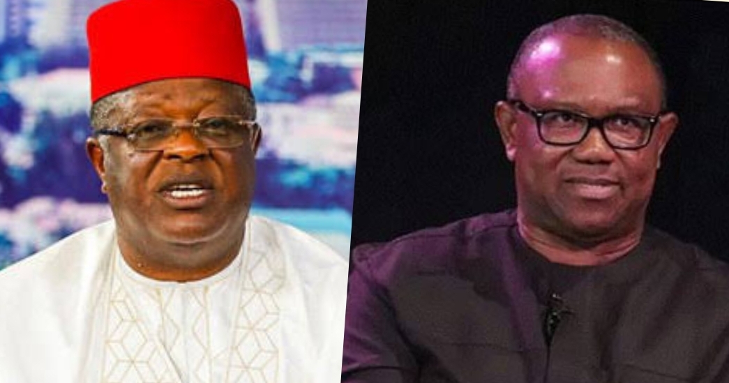 Lagos-Calabar Coastal Road: Ohanaeze denounces Peter Obi's vilification of Umahi