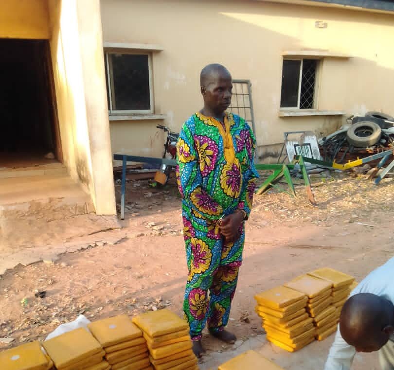 Police intercept Kwara man Abdulrazak Ajibade with 185 sealed parcels of cannabis sativa, known as Indian hemp in Katsina