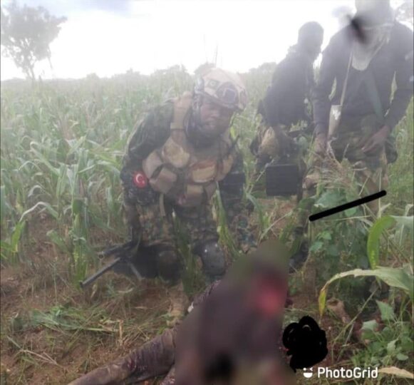 Nigerian troops kill bandits