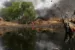 ‘Mystery oil spill' reported in Bayelsa community