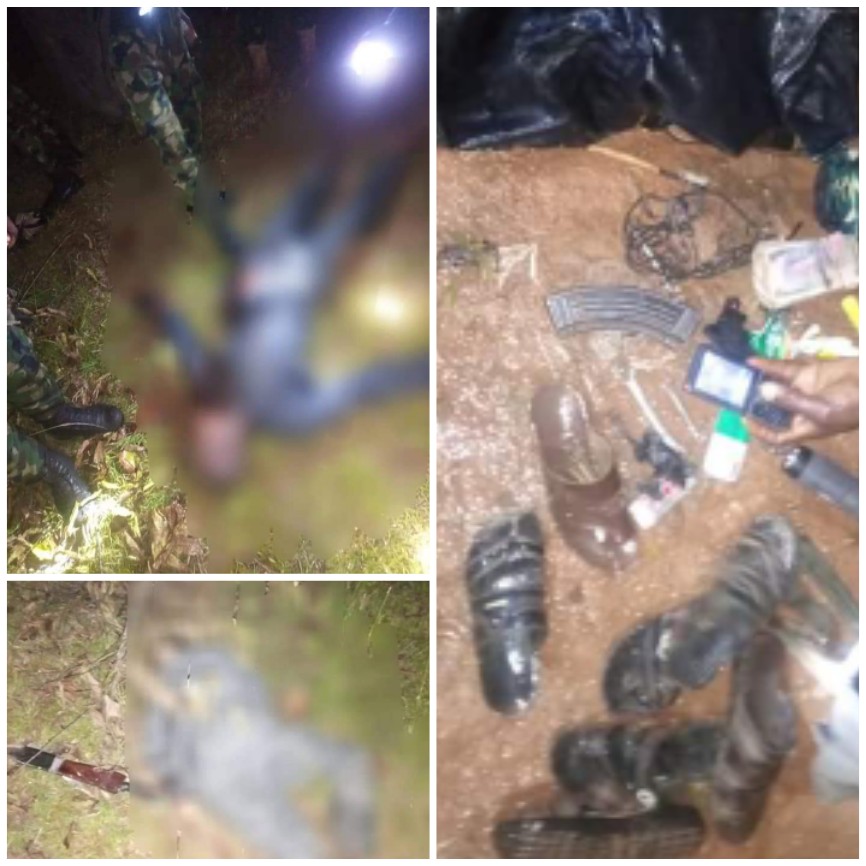 Nigerian troops ambush terrorists, kill 2