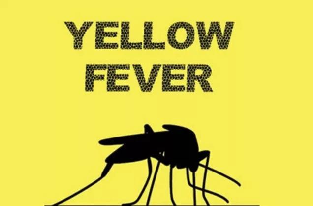 Yellow-Fever