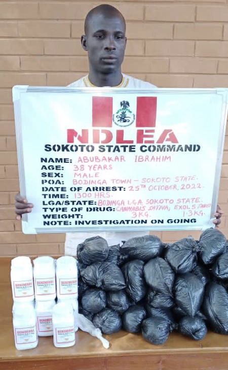 Sokoto village head arrested for drugs