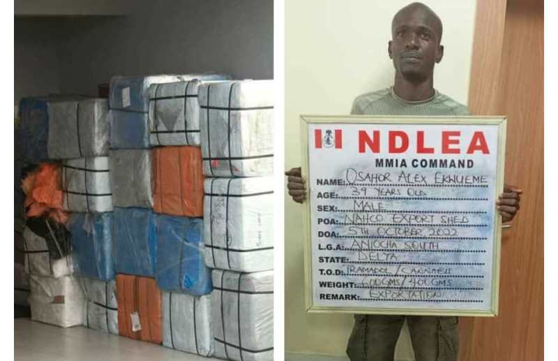 The seized tramadol and Osahor