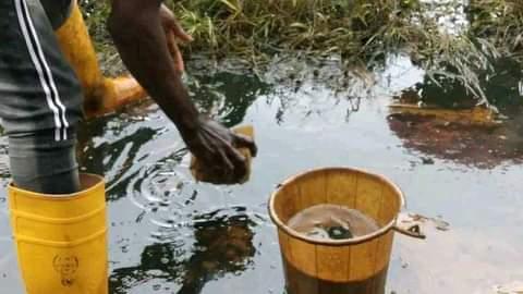 One of the sites of Bodo oil spill