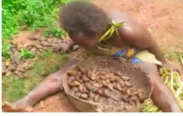 Anthonia Okonkwo stripped naked for picking snails
