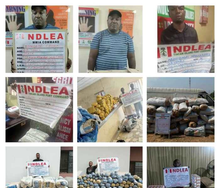 Drug suspects arrested by NDLEA