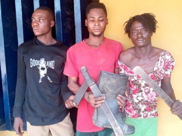 Police arrest 3 members of a robbery syndicate who specialised in snatching motorcycles from owners while pretending to be passengers in Ogun