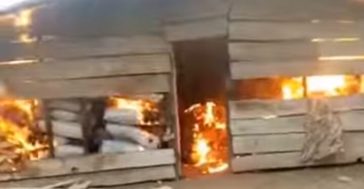 Operatives of NDLEA bust cannabis syndicate operating in the Opuje forests in Opuje community, Owan West LGA of Edo State.