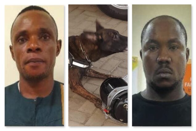 Onucha Peter Obioma and Collins Chukwudi with the sniffer dog that busted their drug smuggling via air compressors