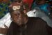 Nigeria's President-Elect, Bola Tinubu reacts to gruesome murder of staff of United States Consulate in Ogbaru area of Anambra State