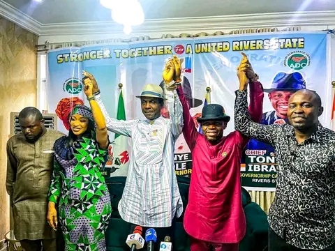 Nollywood actress and deputy governorship candidate of ADC, in Rivers, Tonto Dike   dumps political ambition in support of Tonye Cole of APC