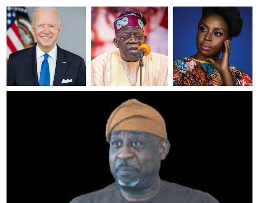 Alake tore Chimamanda's letter to shred