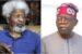 Tinubu names Abuja Highway after Wole Soyinka