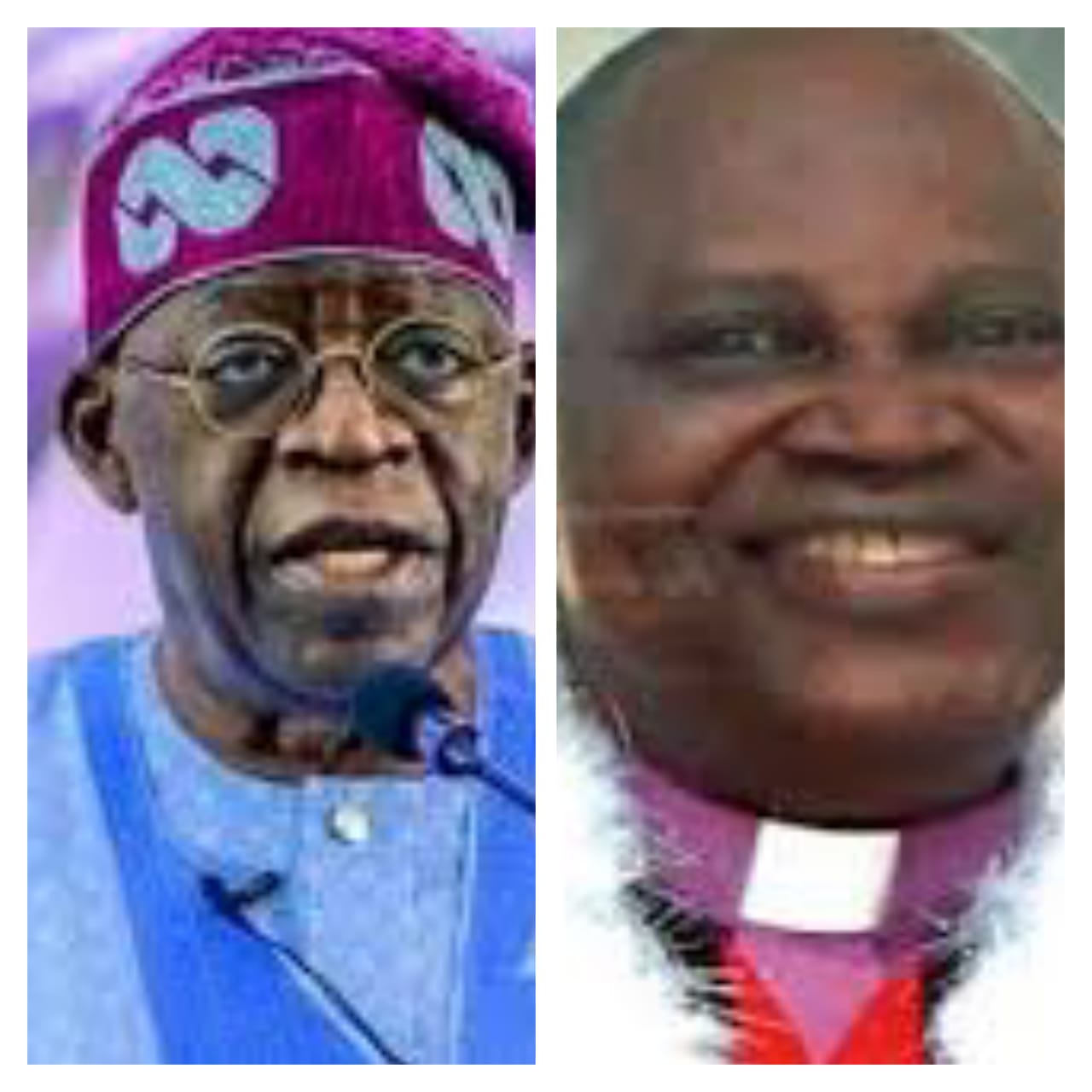 Tinubu and Primate Olabayo
