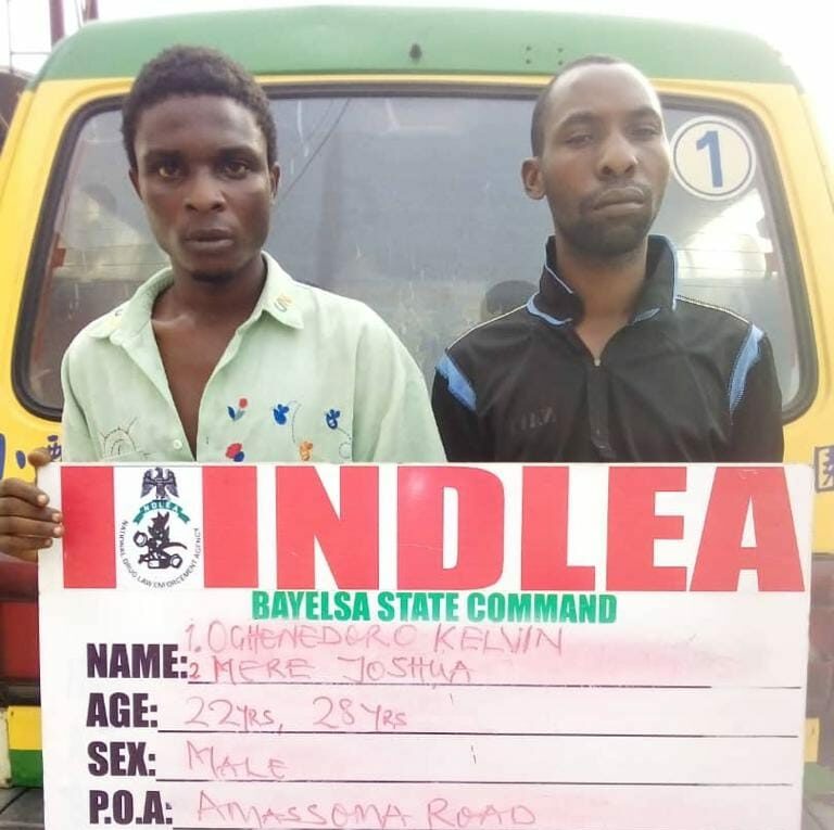 Niger Delta University student, notorious drug dealers nabbed by NDLEA