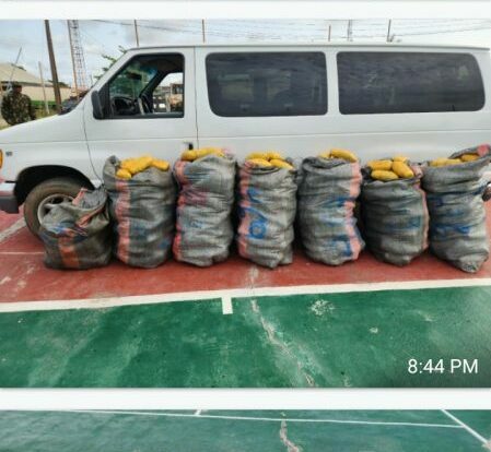 Nigeria Customs Service intercept bus with 4 passengers, 553 parcels of canabis sativa (Indian hemp) worth N10m at Seme border, Lagos State.