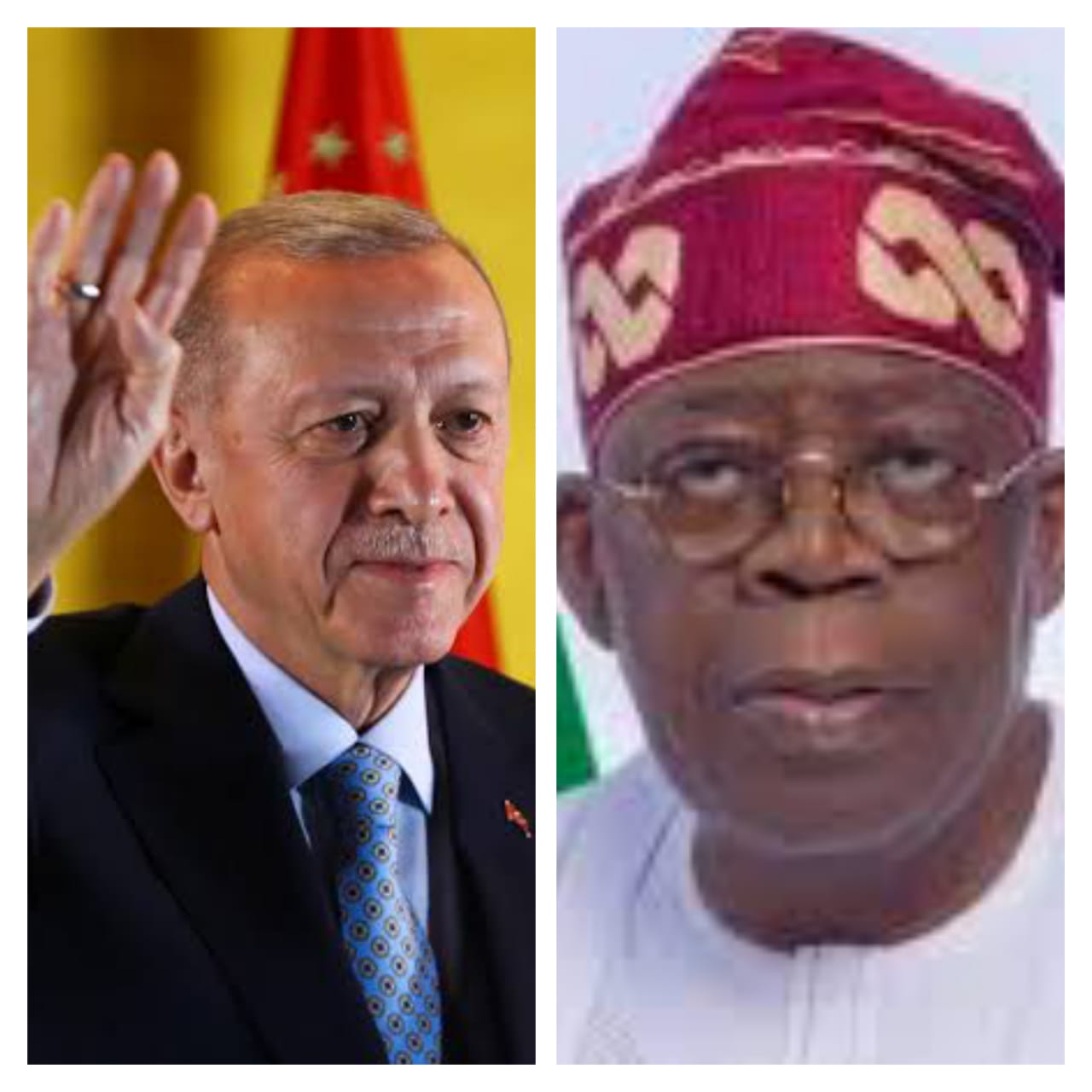 Erdogan and Tinubu