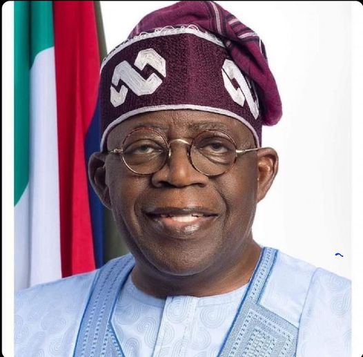 Tinubu: Biting the bullet from day one - P.M. News