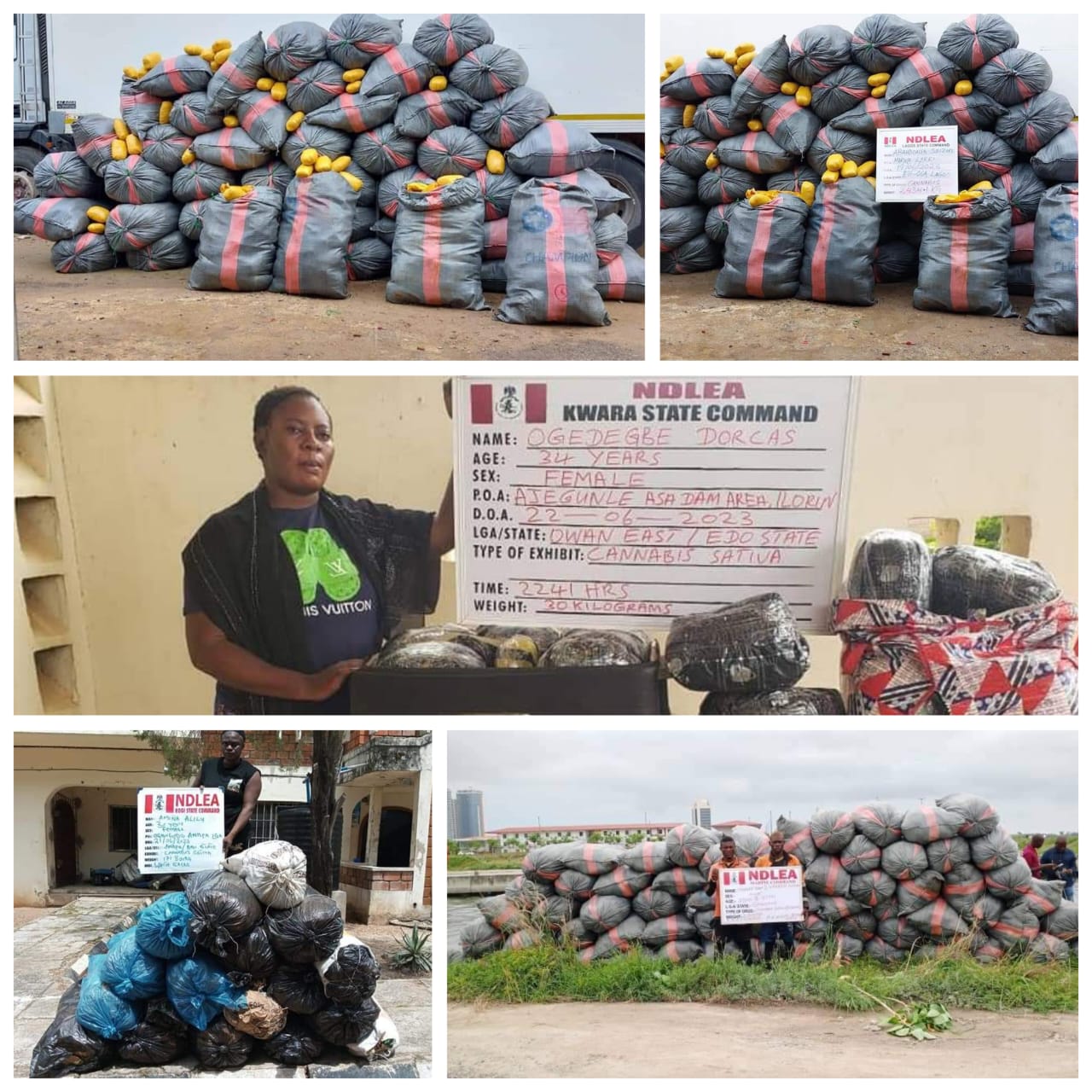 NDLEA intercepts massive skunk consignments in Lekki, nabs 2 Ghanaians