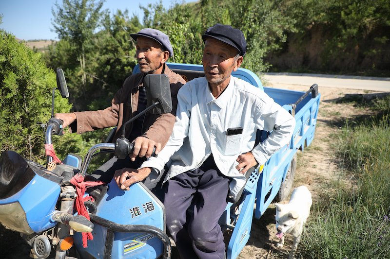 Xu Zhigang and Xu Zhiqiang