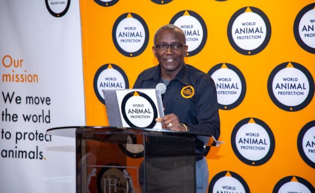Dr Victor Yamo at the World Animal Protection summit