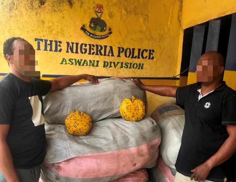 Lagos police intercept large cache illicit drugs worth N13m