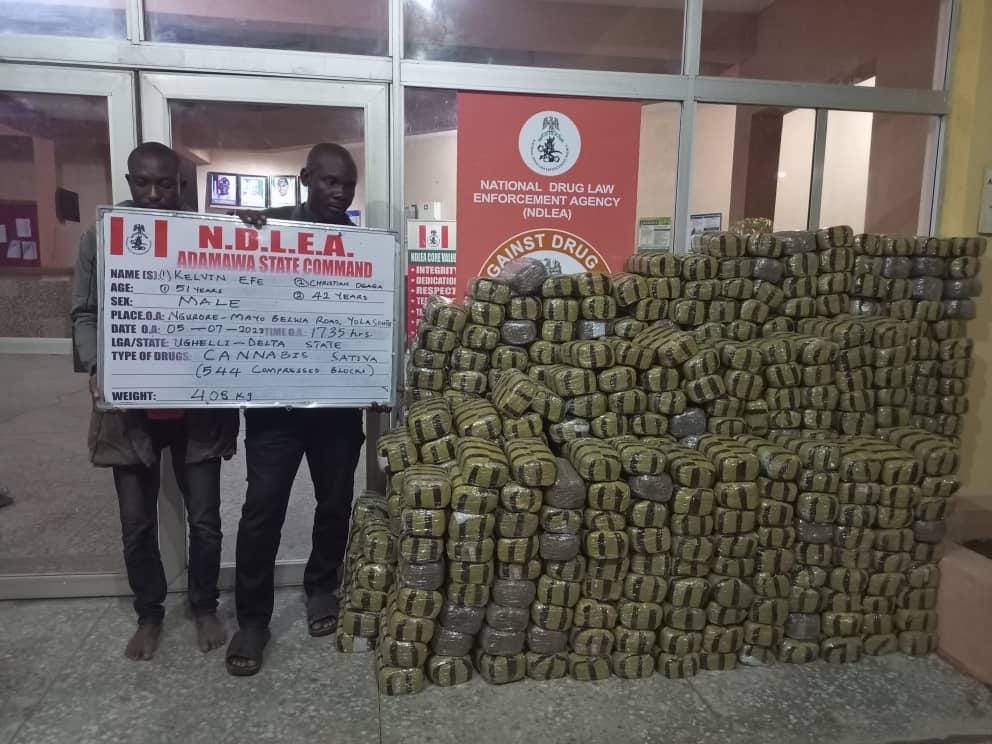 NDLEA uncovers illicit drugs concealed in 118 cartoons of Indomie Noodles