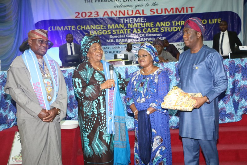 Lagos vows to combat climate change
